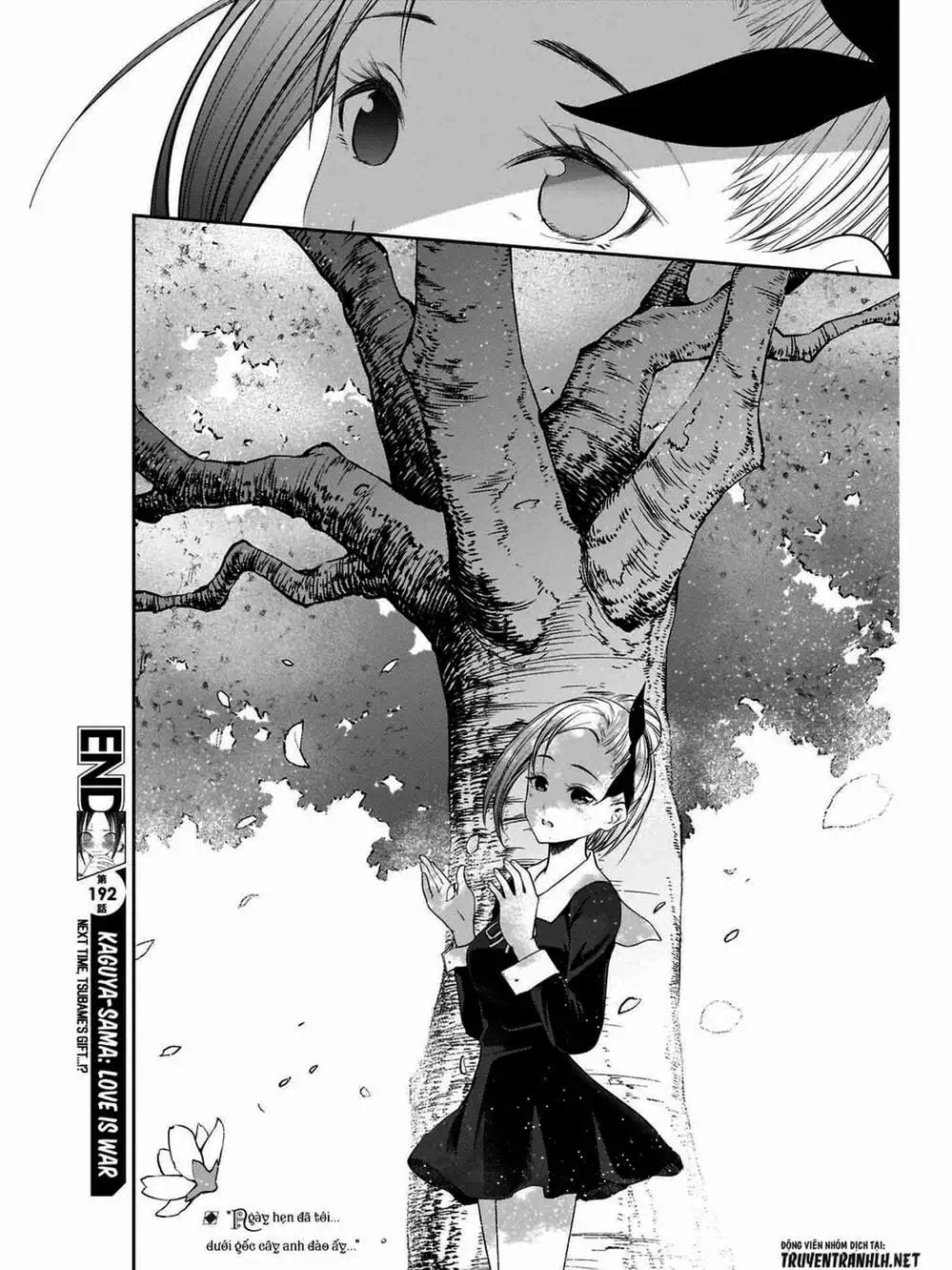 Truyện Tranh Cuộc Chiến Tỏ Tình - Kaguya-Sama: Love Is War trang 5