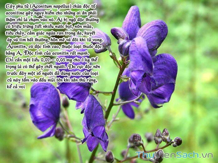 Truyện Tranh Học Viện Thám Tử Q - Detective Academy trang 6