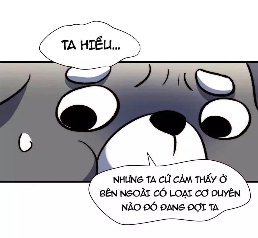 Truyện Tranh Đỉnh Cấp Khí Vận, Lặng Lẽ Tu Luyện Ngàn Năm trang 6