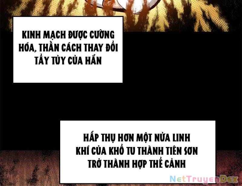 Truyện Tranh Đỉnh Cấp Khí Vận, Lặng Lẽ Tu Luyện Ngàn Năm trang 6