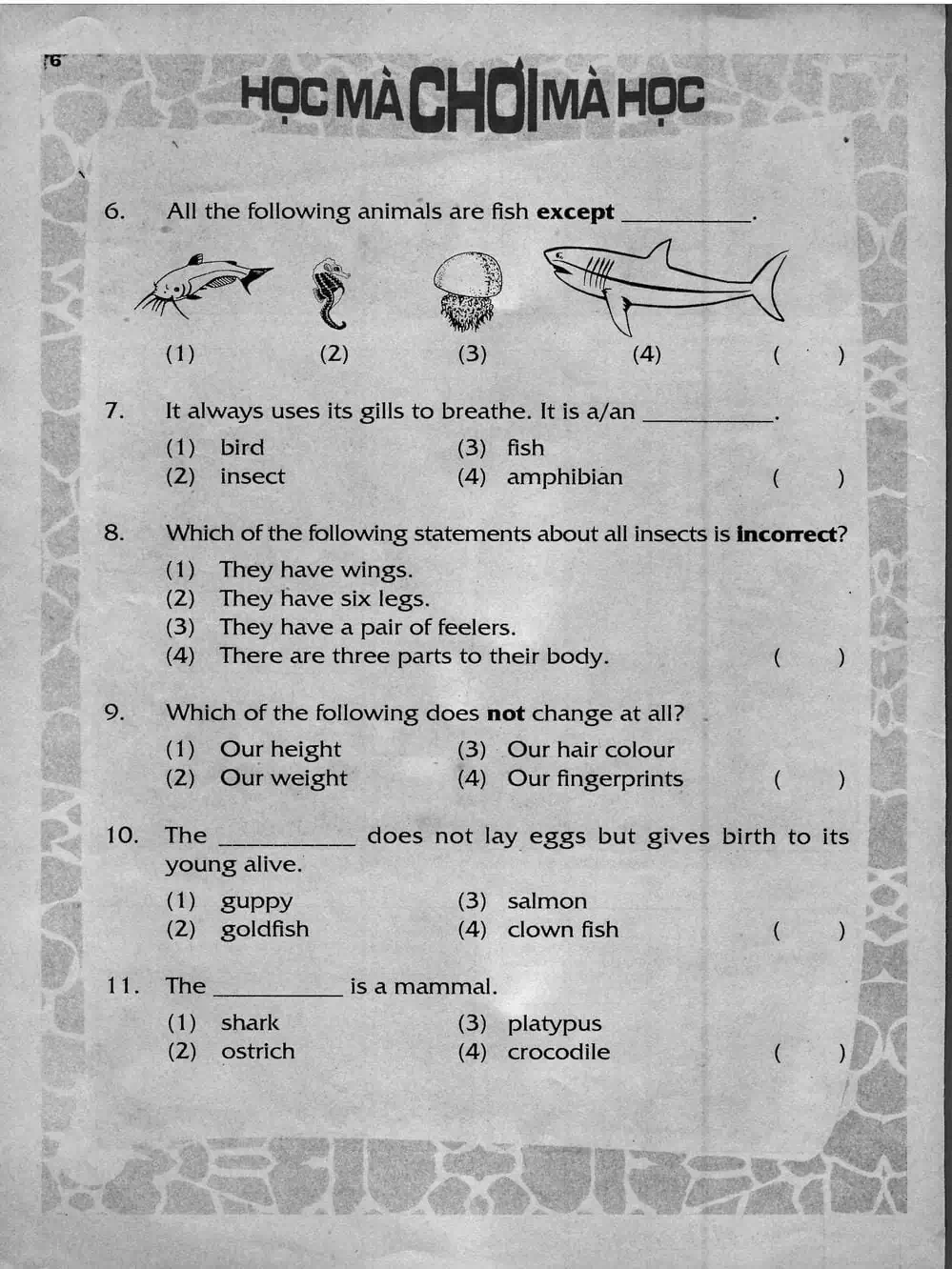 Truyện Tranh Donald Và Bạn Hữu trang 2