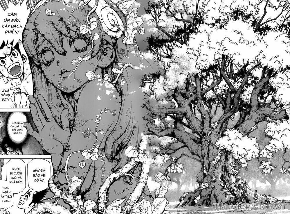 Truyện Tranh Dr. Stone - Hồi Sinh Thế Giới trang 3