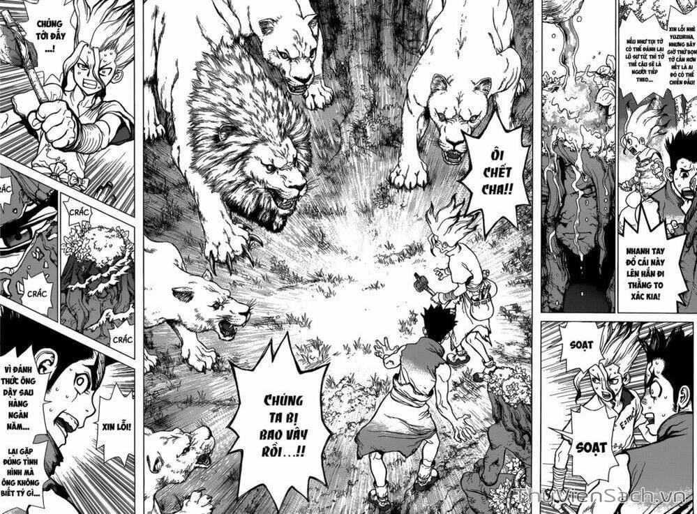 Truyện Tranh Dr. Stone - Hồi Sinh Thế Giới trang 3