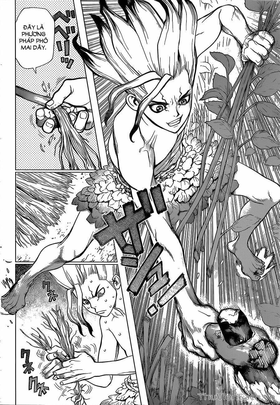 Truyện Tranh Dr. Stone - Hồi Sinh Thế Giới trang 3