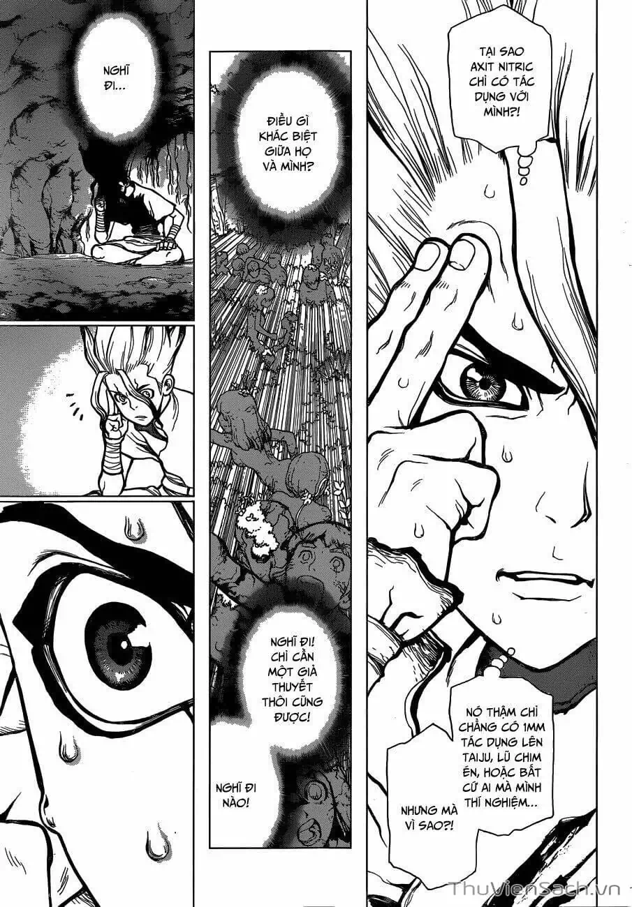 Truyện Tranh Dr. Stone - Hồi Sinh Thế Giới trang 3