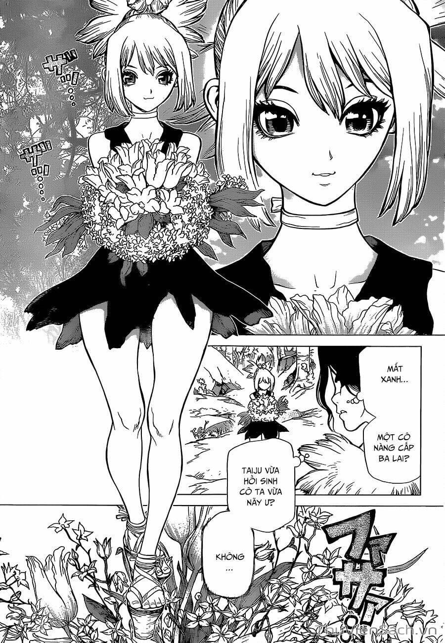 Truyện Tranh Dr. Stone - Hồi Sinh Thế Giới trang 3