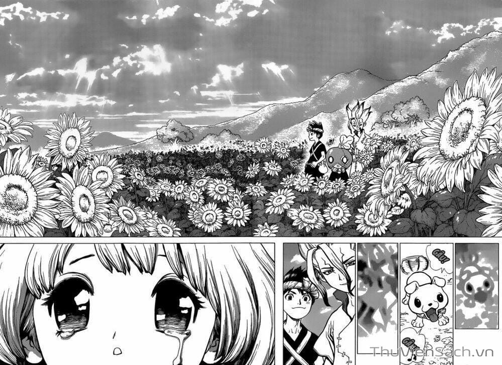 Truyện Tranh Dr. Stone - Hồi Sinh Thế Giới trang 3
