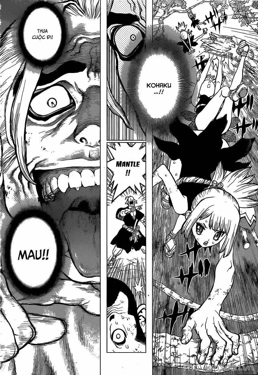 Truyện Tranh Dr. Stone - Hồi Sinh Thế Giới trang 3