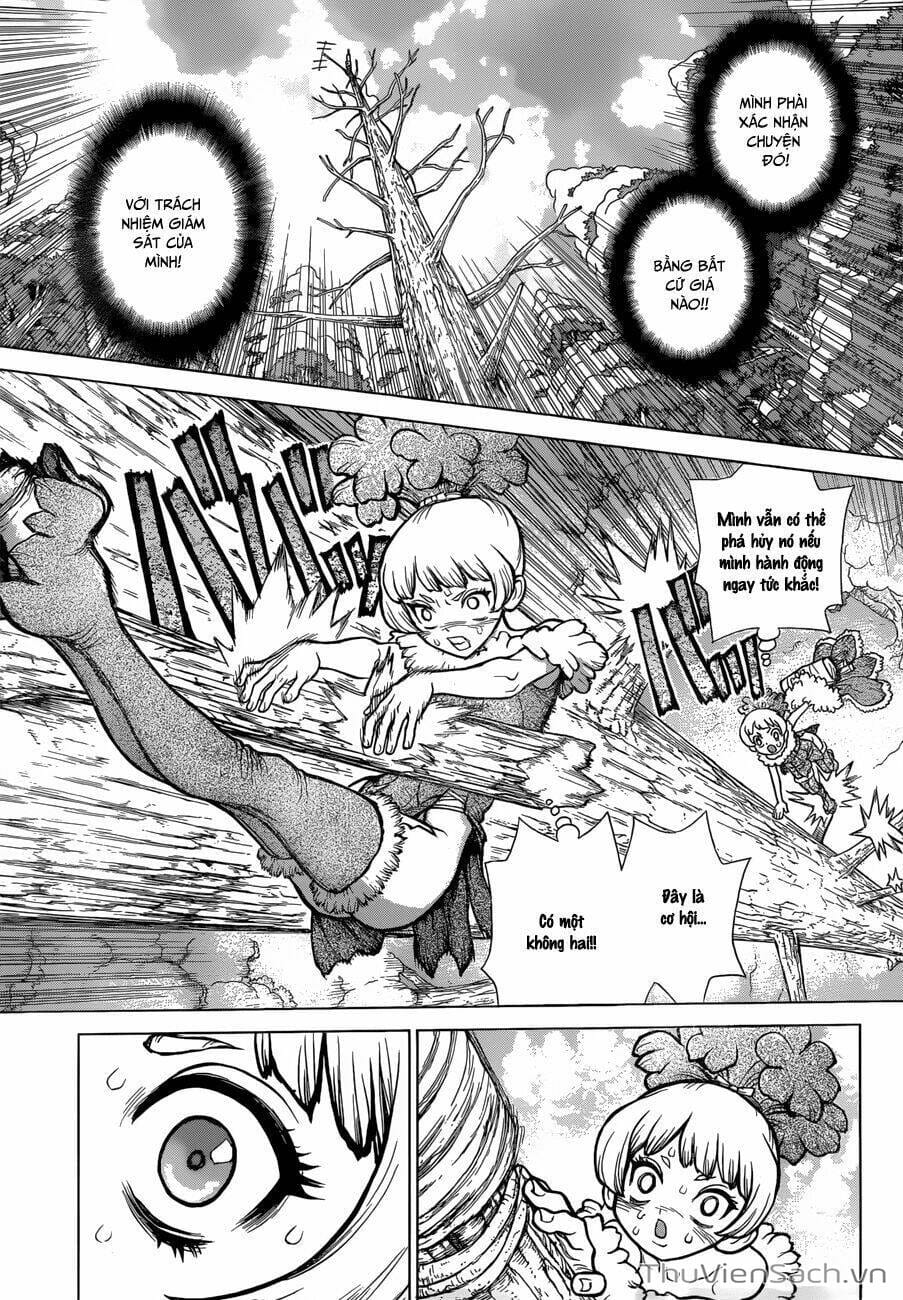 Truyện Tranh Dr. Stone - Hồi Sinh Thế Giới trang 3