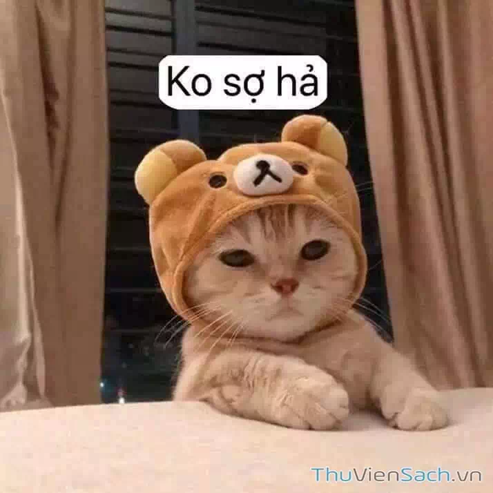 Truyện Tranh Dr. Stone - Hồi Sinh Thế Giới trang 3