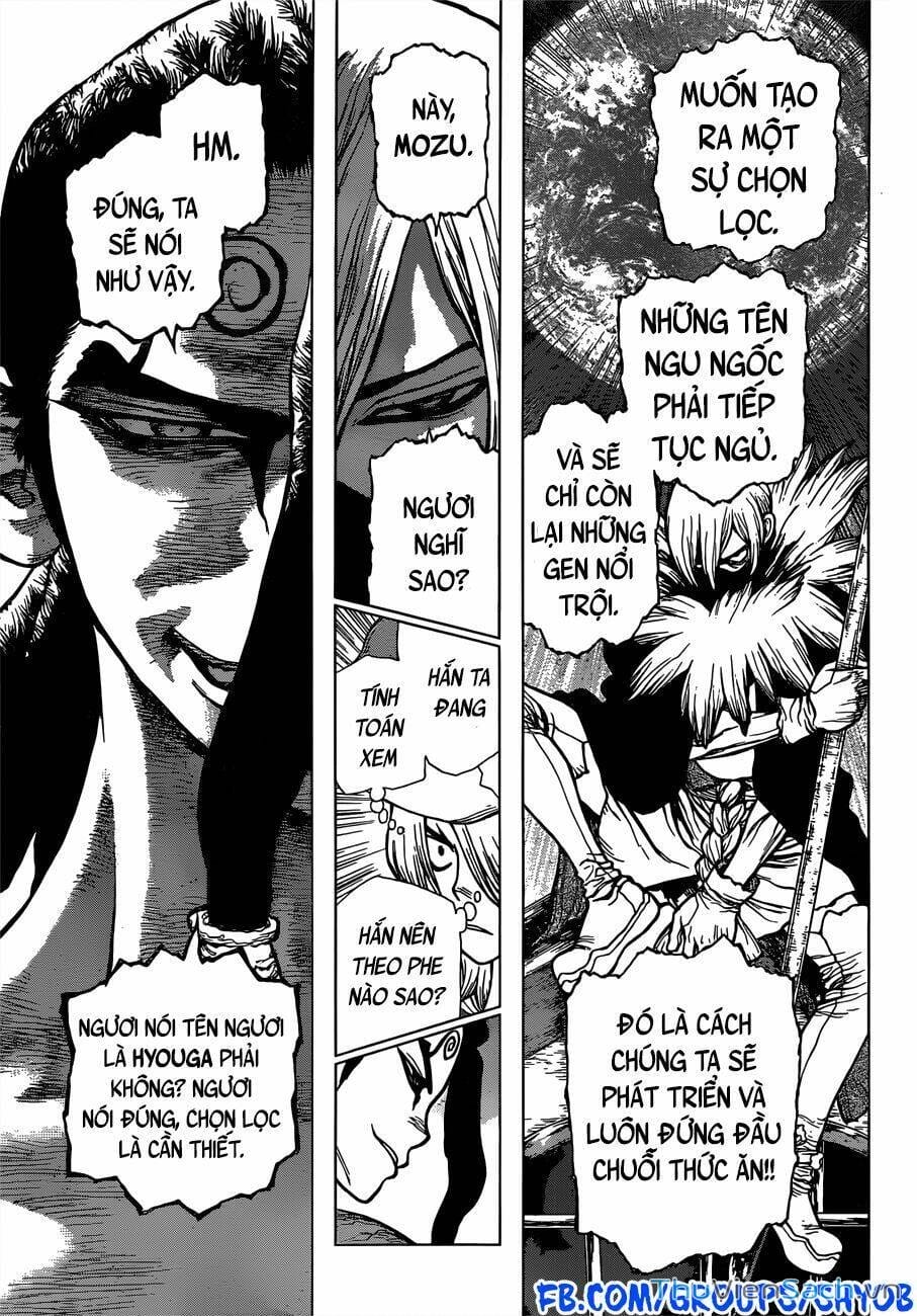 Truyện Tranh Dr. Stone - Hồi Sinh Thế Giới trang 3