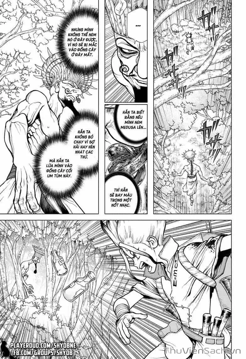 Truyện Tranh Dr. Stone - Hồi Sinh Thế Giới trang 3