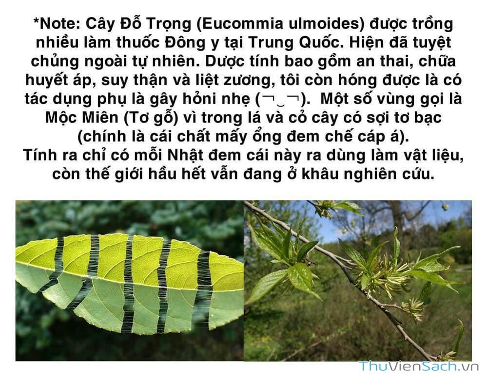 Truyện Tranh Dr. Stone - Hồi Sinh Thế Giới trang 3