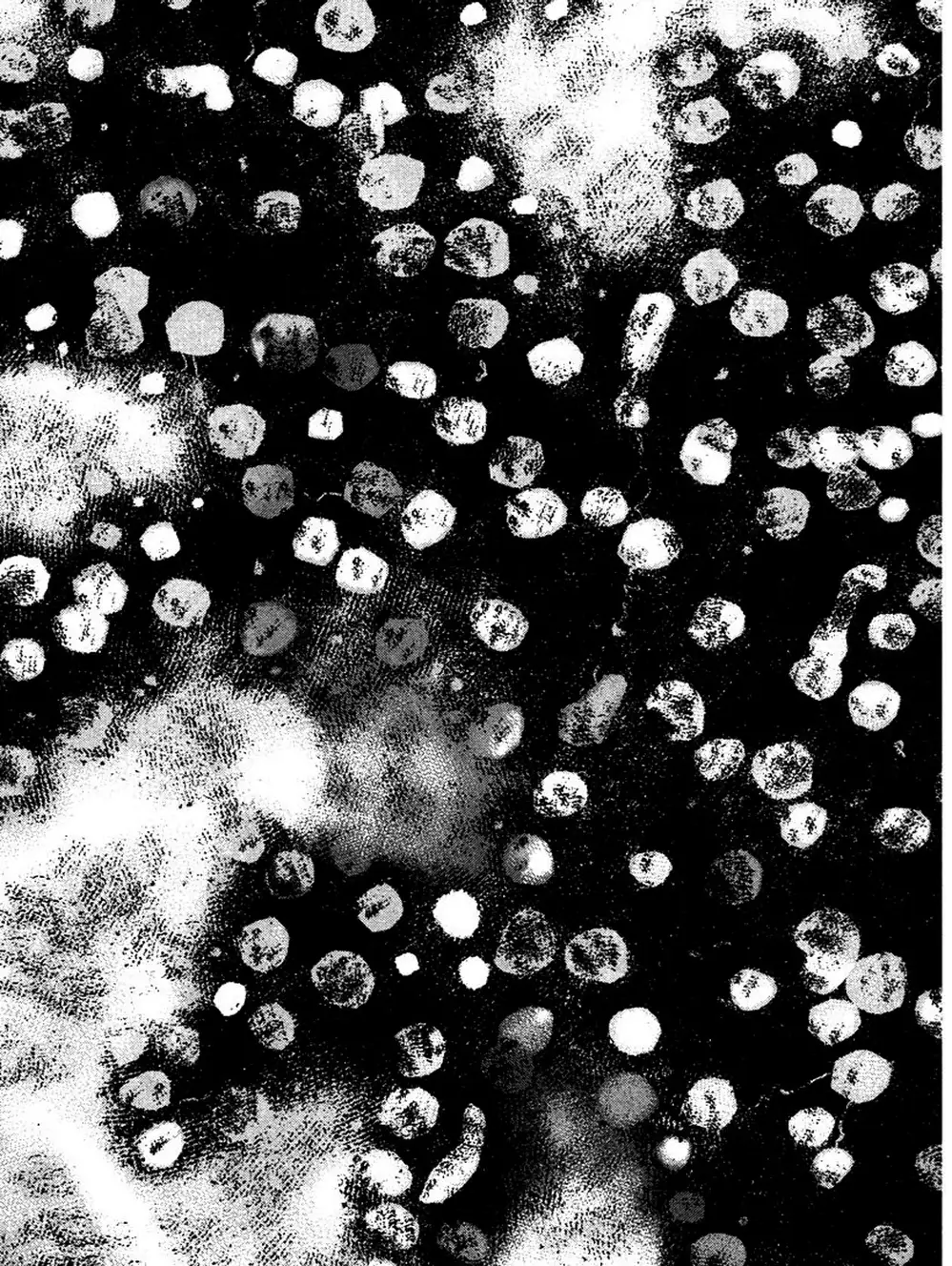 Truyện Tranh Thảm Họa Truyền Nhiễm - Emerging trang 5