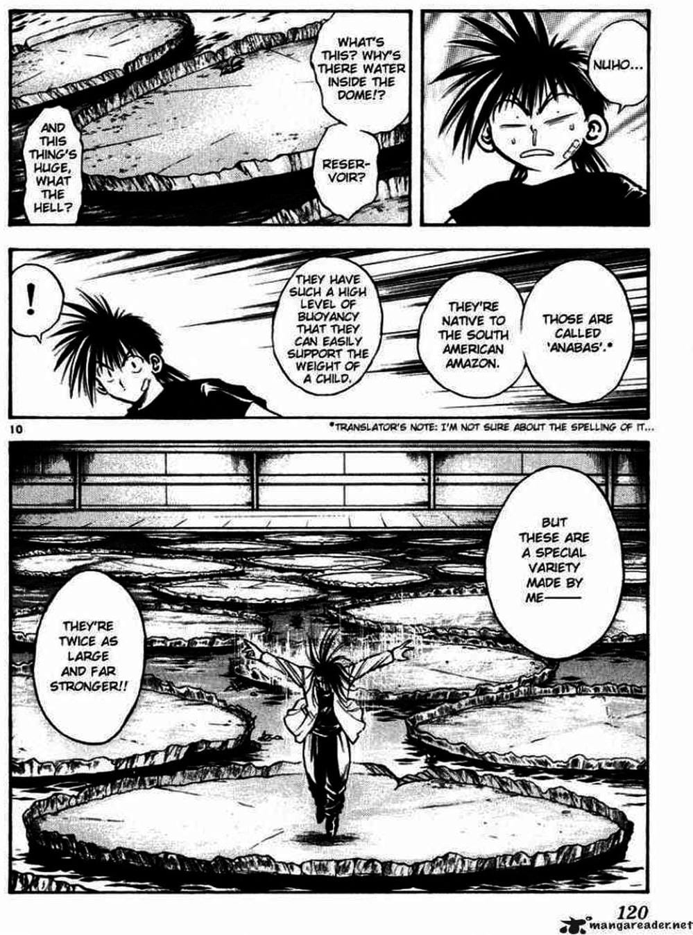 Truyện Tranh Ngọn Lửa Recca - Flame Of Recca trang 9