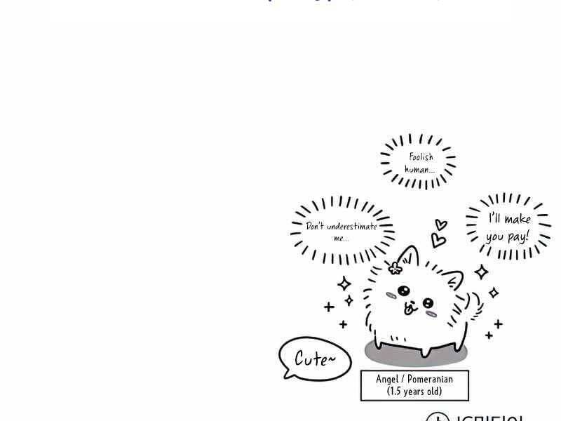 Truyện Tranh Giáo Sư Gián Điệp trang 5