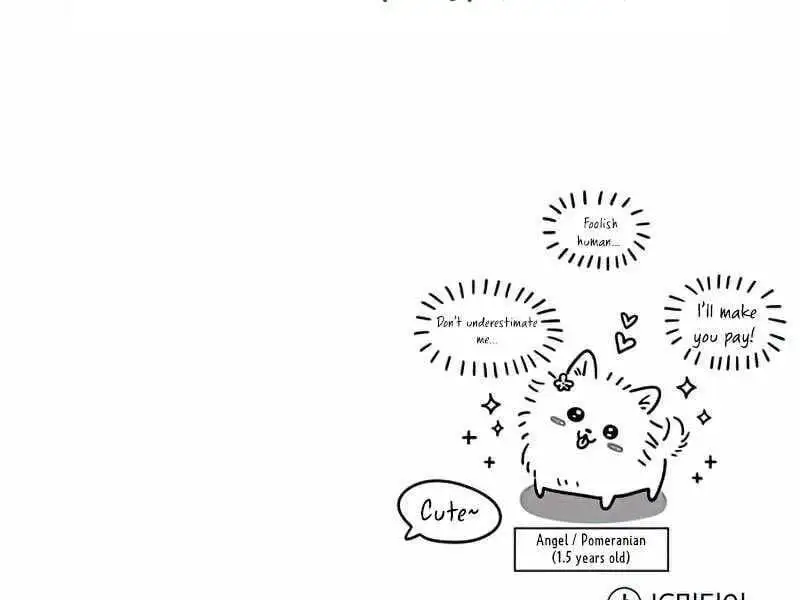 Truyện Tranh Giáo Sư Gián Điệp trang 5