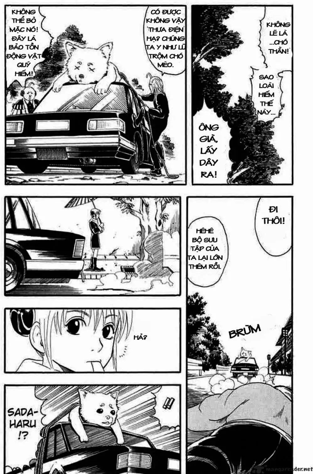 Truyện Tranh Gintama Linh Hồn Bạc: Luật Lệ Đặt Ra Là Để Phá Bỏ trang 7