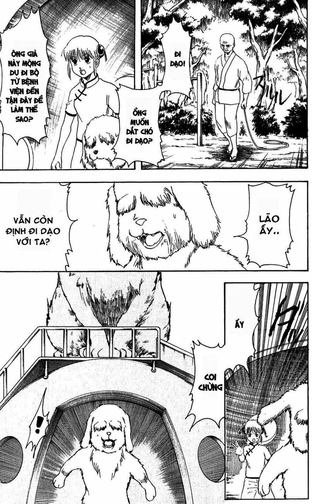 Truyện Tranh Gintama Linh Hồn Bạc: Luật Lệ Đặt Ra Là Để Phá Bỏ trang 7