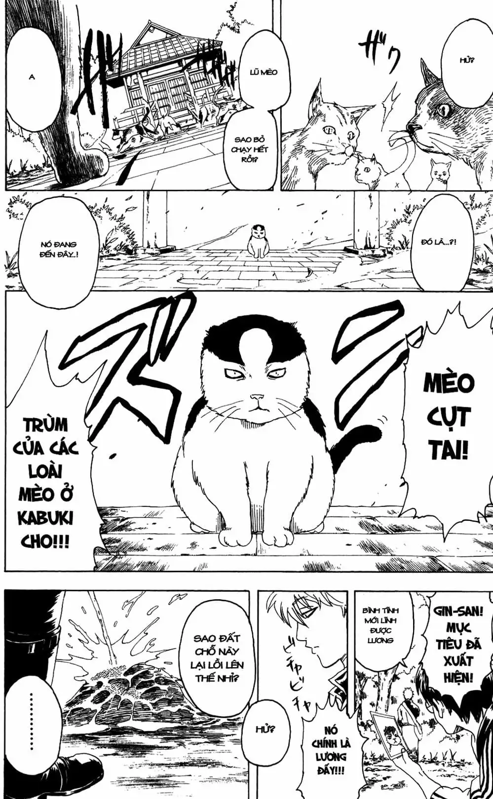 Truyện Tranh Gintama Linh Hồn Bạc: Luật Lệ Đặt Ra Là Để Phá Bỏ trang 7