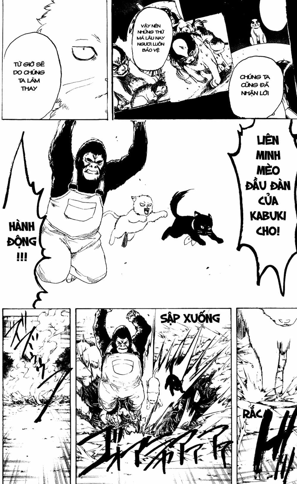 Truyện Tranh Gintama Linh Hồn Bạc: Luật Lệ Đặt Ra Là Để Phá Bỏ trang 7