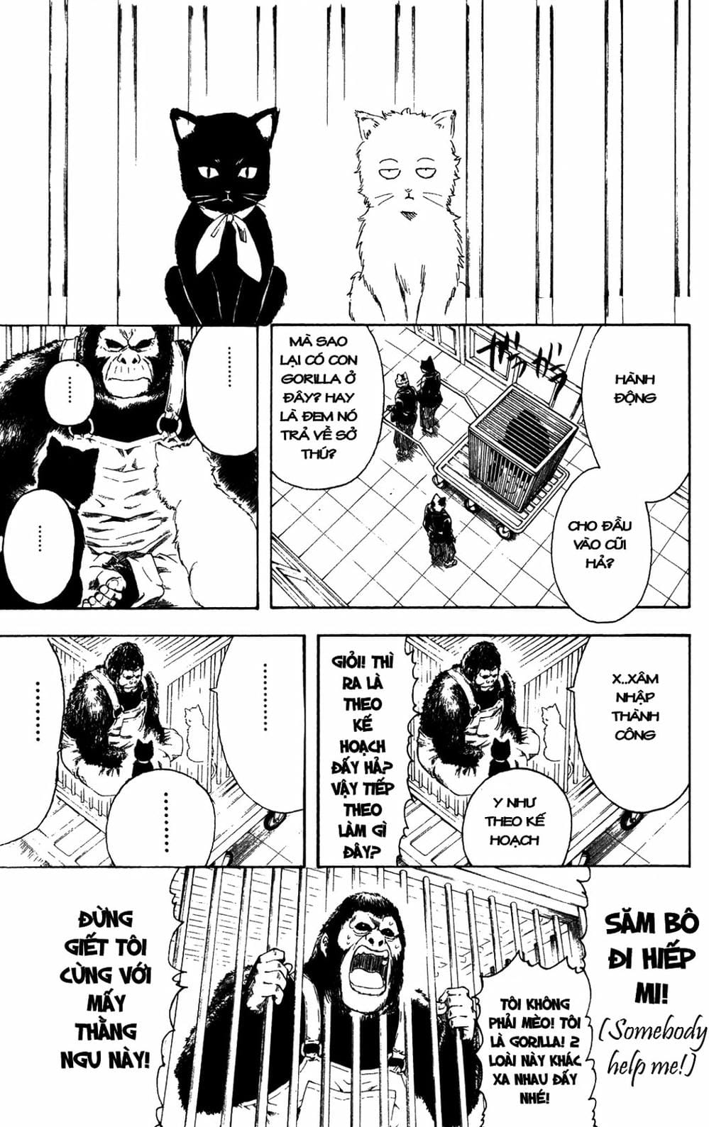 Truyện Tranh Gintama Linh Hồn Bạc: Luật Lệ Đặt Ra Là Để Phá Bỏ trang 7