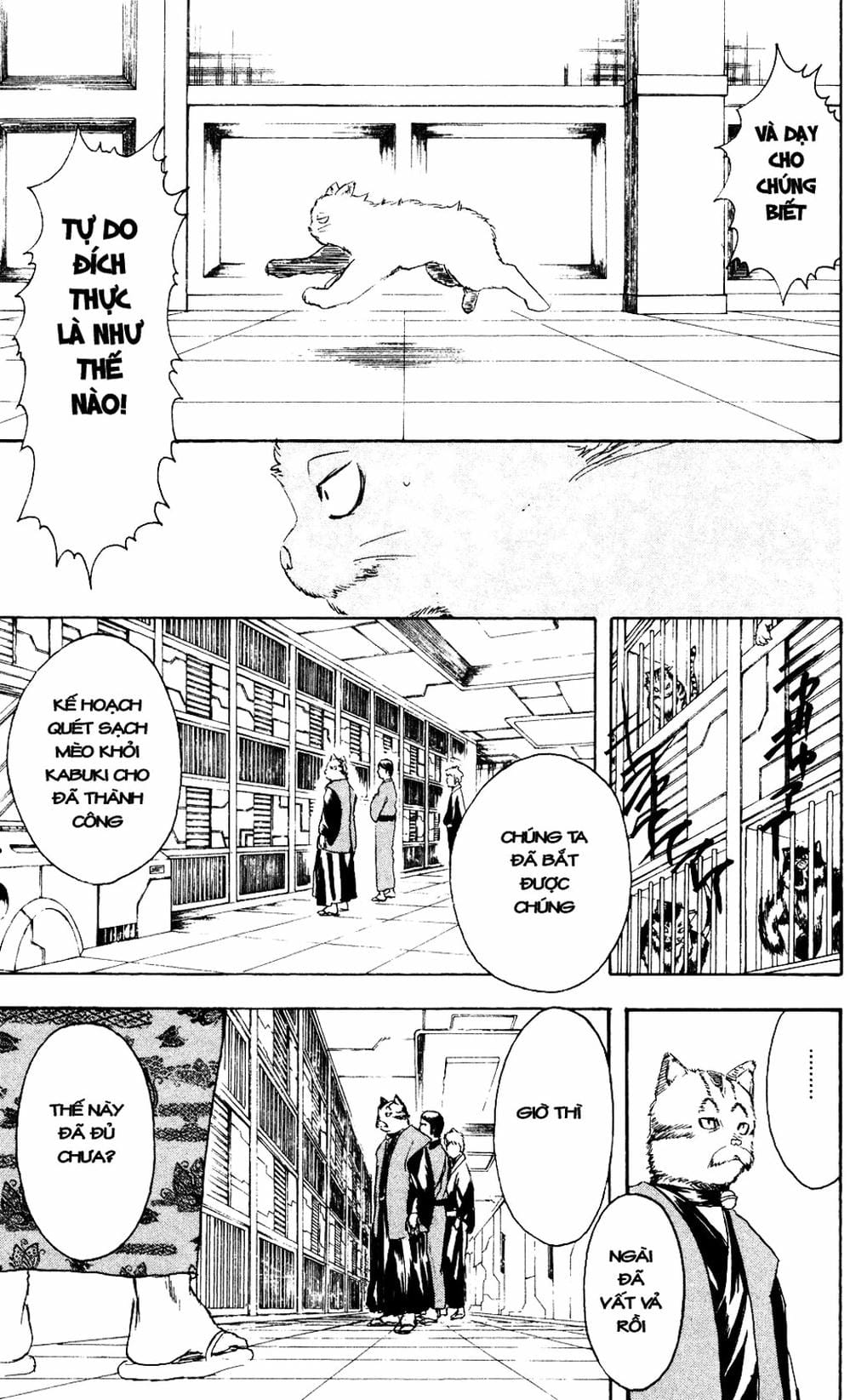 Truyện Tranh Gintama Linh Hồn Bạc: Luật Lệ Đặt Ra Là Để Phá Bỏ trang 7