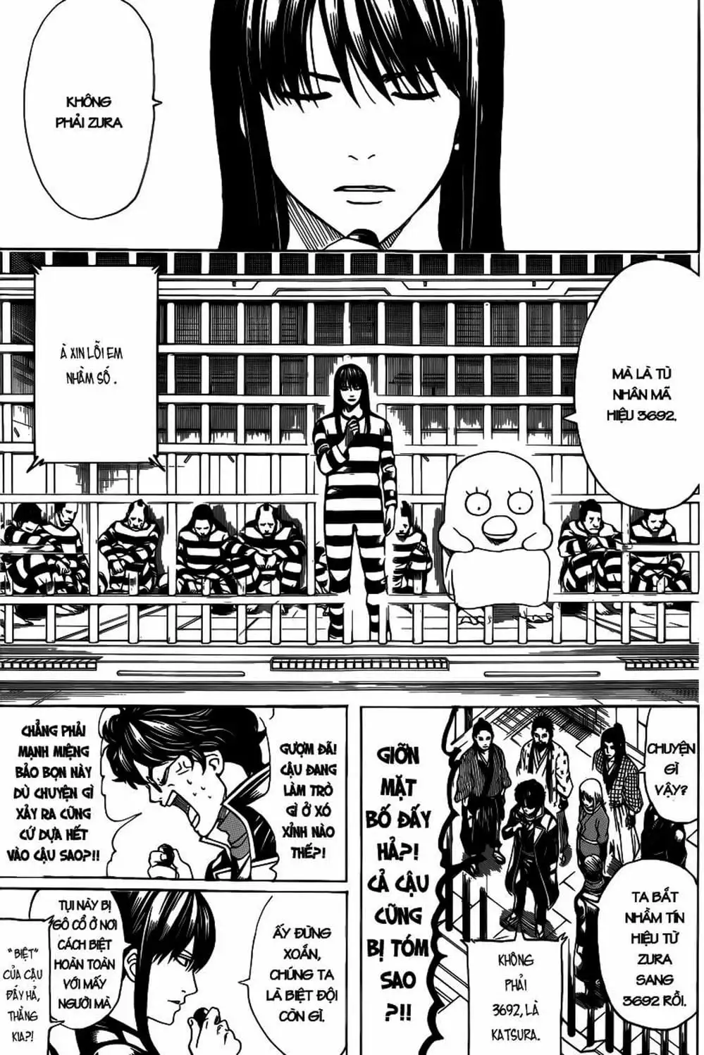 Truyện Tranh Gintama Linh Hồn Bạc: Luật Lệ Đặt Ra Là Để Phá Bỏ trang 7