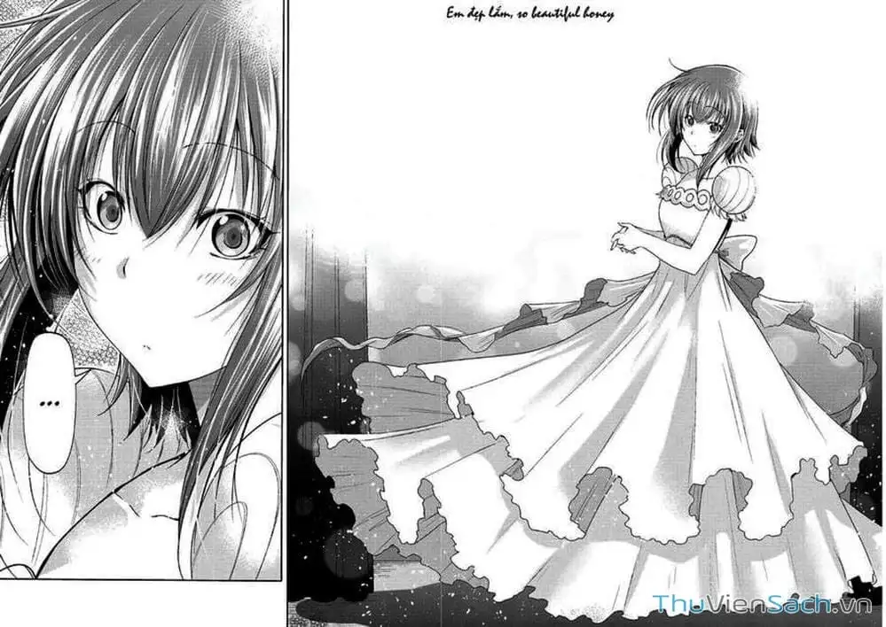 Truyện Tranh Cô Gái Thích Lặn - Grand Blue trang 3