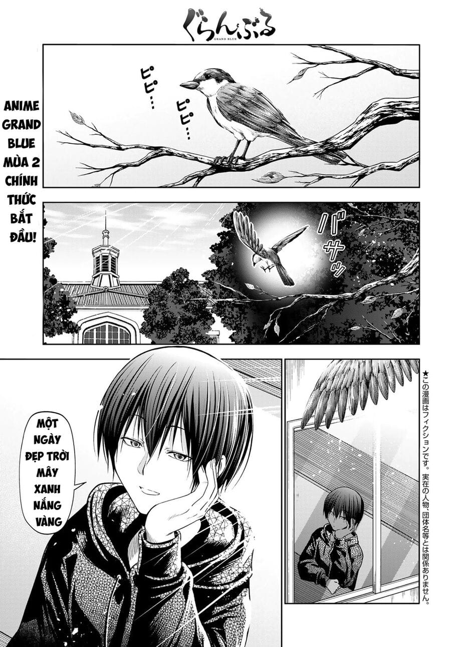 Truyện Tranh Cô Gái Thích Lặn - Grand Blue trang 3