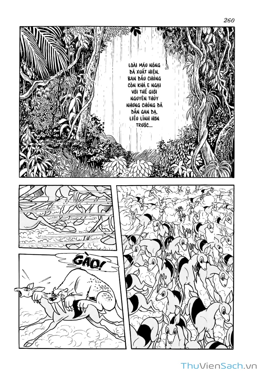 Truyện Tranh Phượng Hoàng - Phoenix trang 7