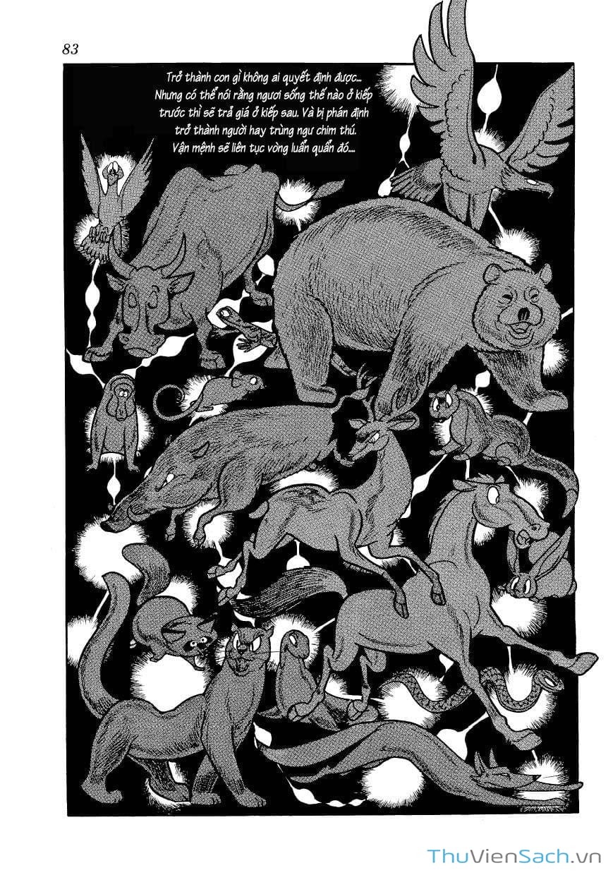 Truyện Tranh Phượng Hoàng - Phoenix trang 7