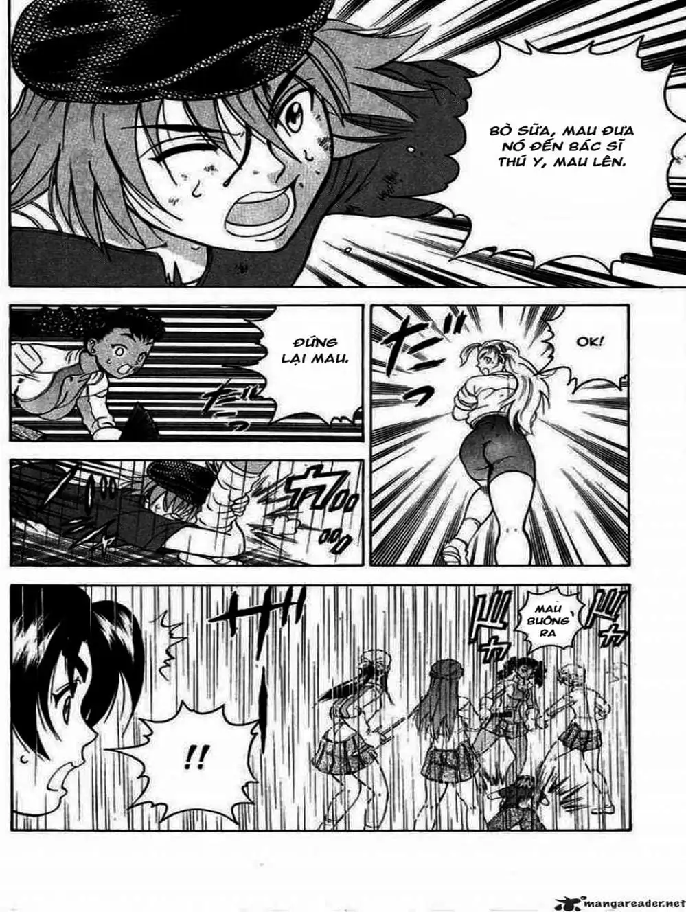 Truyện Tranh Kenichi Võ Sĩ Mạnh Nhất - History’s Strongest Disciple Kenichi trang 5