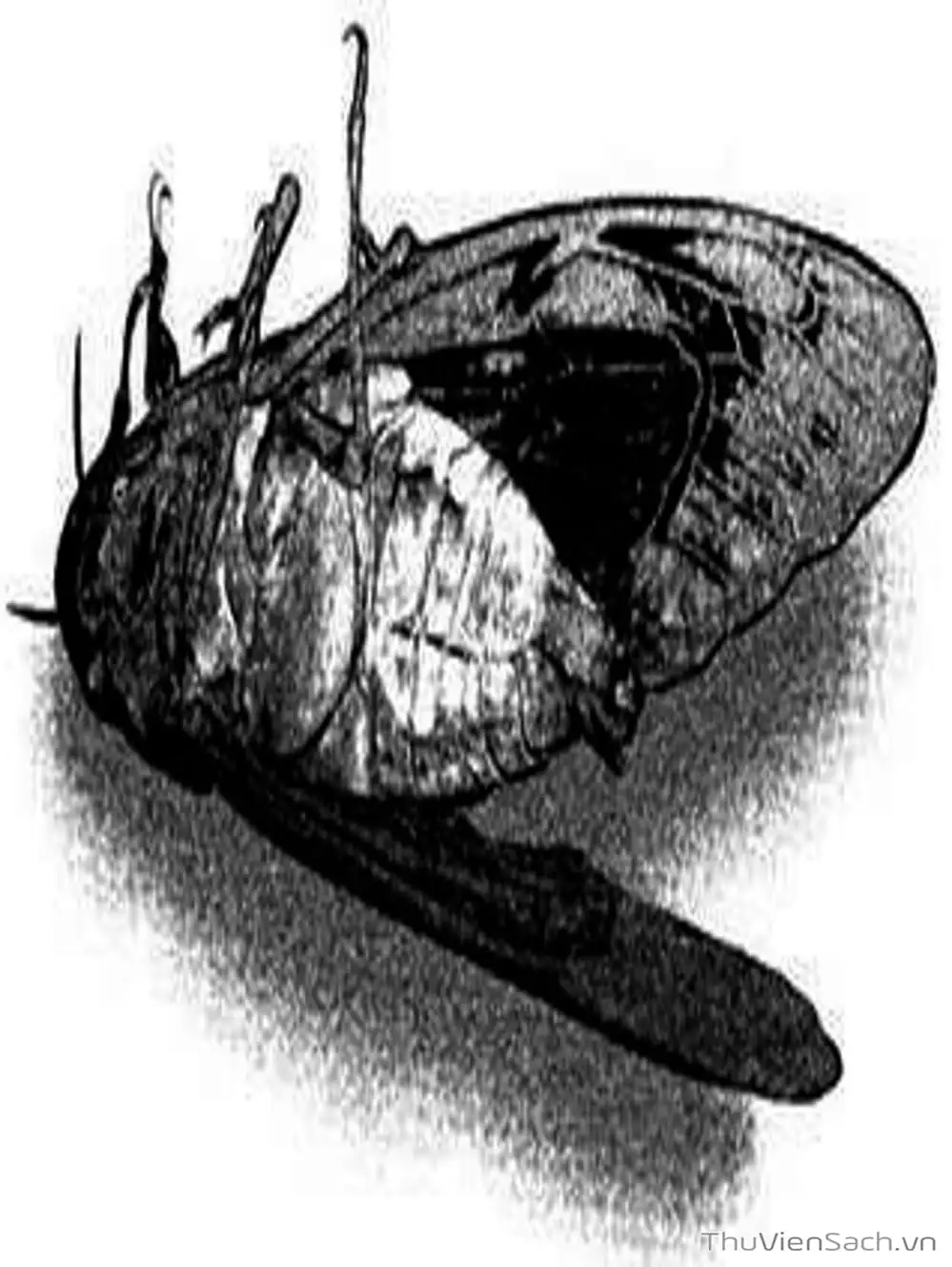 Truyện Tranh Nhật Ký Lớp Học - Home Room trang 8