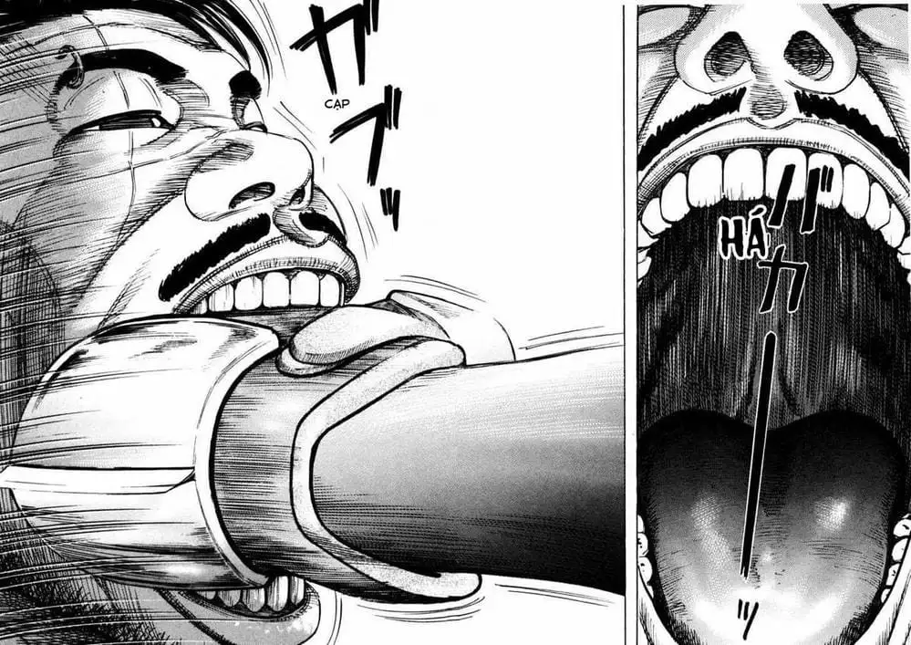 Truyện Tranh Sát Thủ Số 1 - Ichi The Killer trang 7