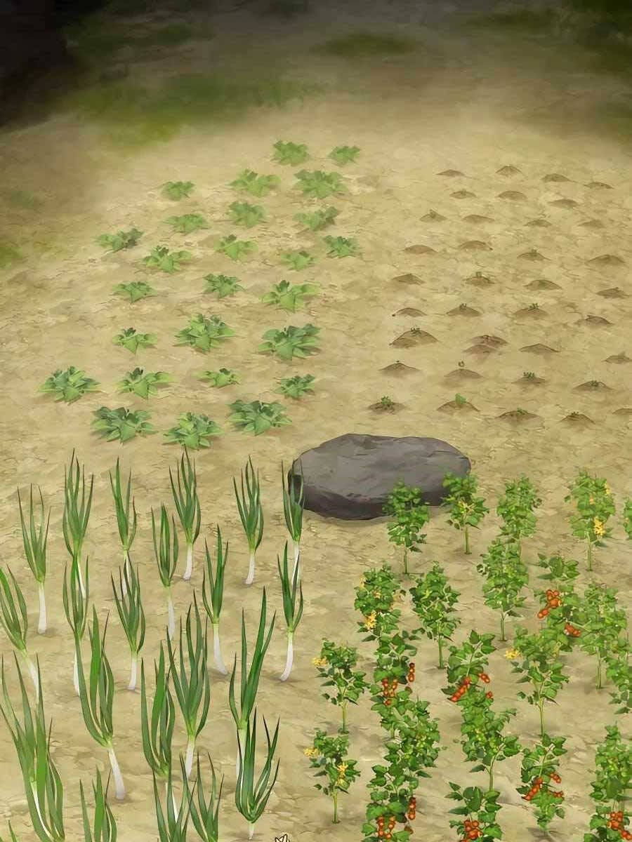 Truyện Tranh Làm Nông Dân Trong Tòa Tháp Thử Thách trang 5