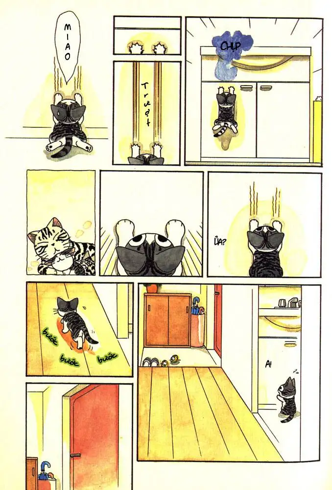 Truyện Tranh Mái Ấm Của Chi - Chii’s Sweet Home trang 3