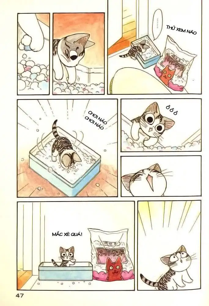 Truyện Tranh Mái Ấm Của Chi - Chii’s Sweet Home trang 3