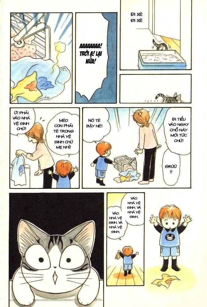 Truyện Tranh Mái Ấm Của Chi - Chii’s Sweet Home trang 3
