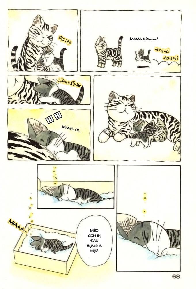 Truyện Tranh Mái Ấm Của Chi - Chii’s Sweet Home trang 3