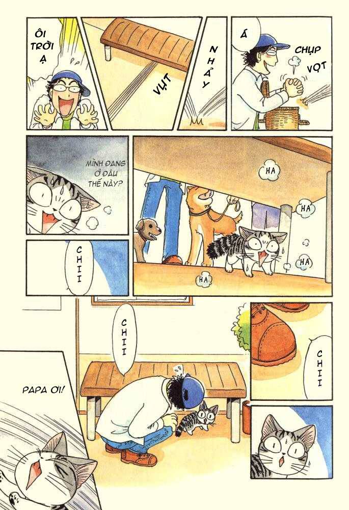 Truyện Tranh Mái Ấm Của Chi - Chii’s Sweet Home trang 3
