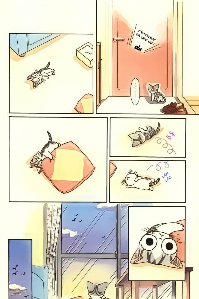 Truyện Tranh Mái Ấm Của Chi - Chii’s Sweet Home trang 3