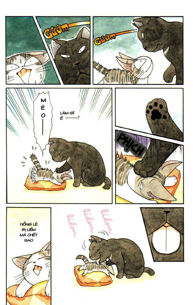 Truyện Tranh Mái Ấm Của Chi - Chii’s Sweet Home trang 3