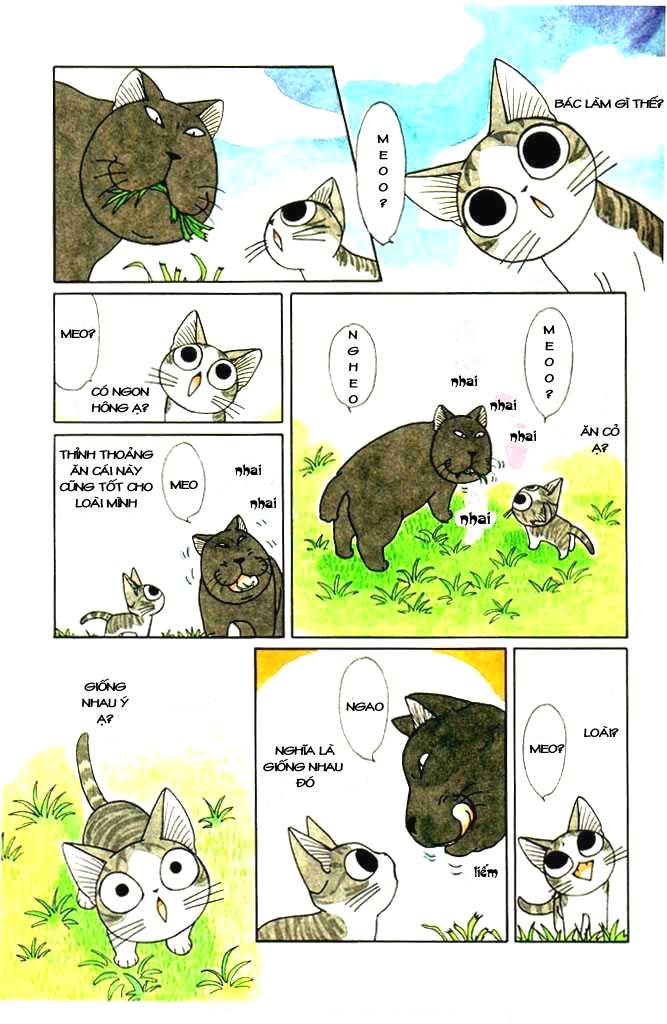 Truyện Tranh Mái Ấm Của Chi - Chii’s Sweet Home trang 3