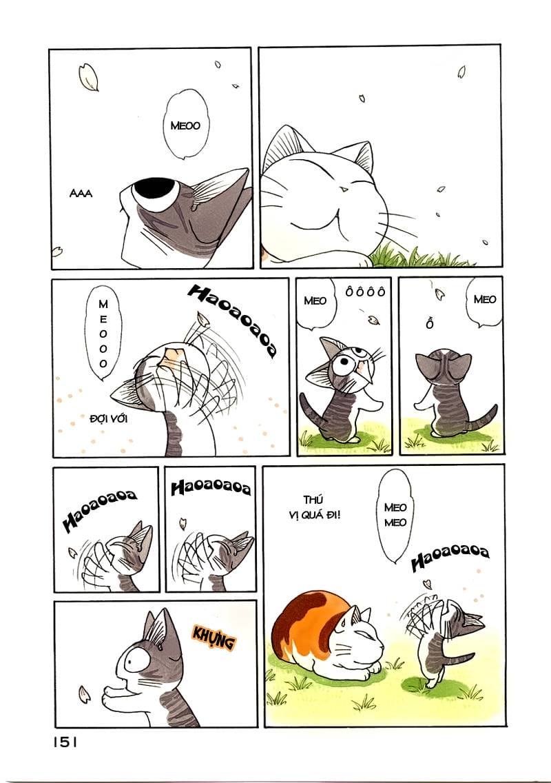 Truyện Tranh Mái Ấm Của Chi - Chii’s Sweet Home trang 3