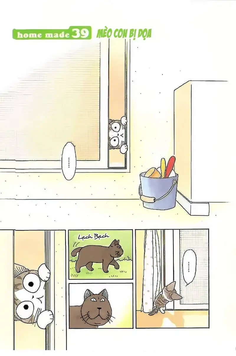 Truyện Tranh Mái Ấm Của Chi - Chii’s Sweet Home trang 3