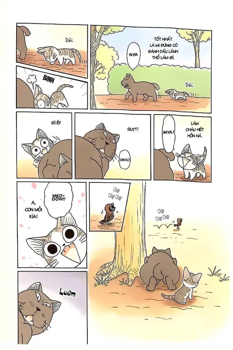 Truyện Tranh Mái Ấm Của Chi - Chii’s Sweet Home trang 3