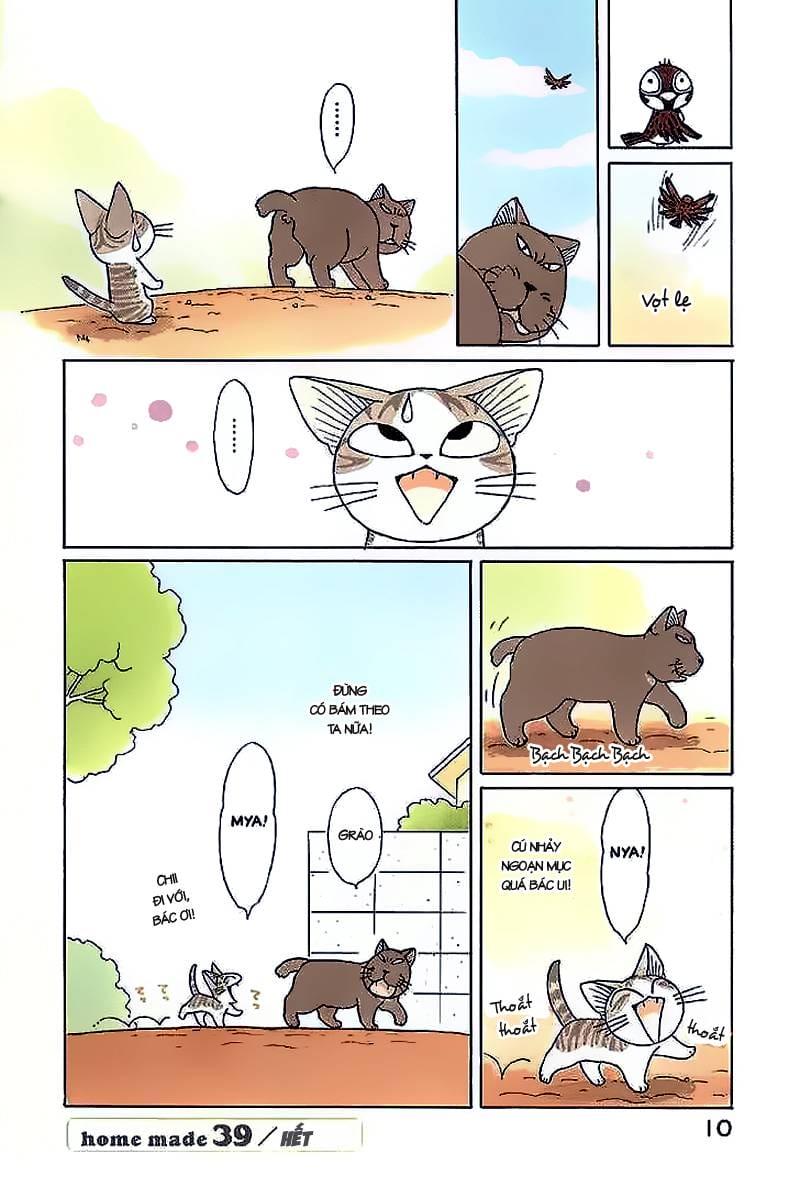 Truyện Tranh Mái Ấm Của Chi - Chii’s Sweet Home trang 3