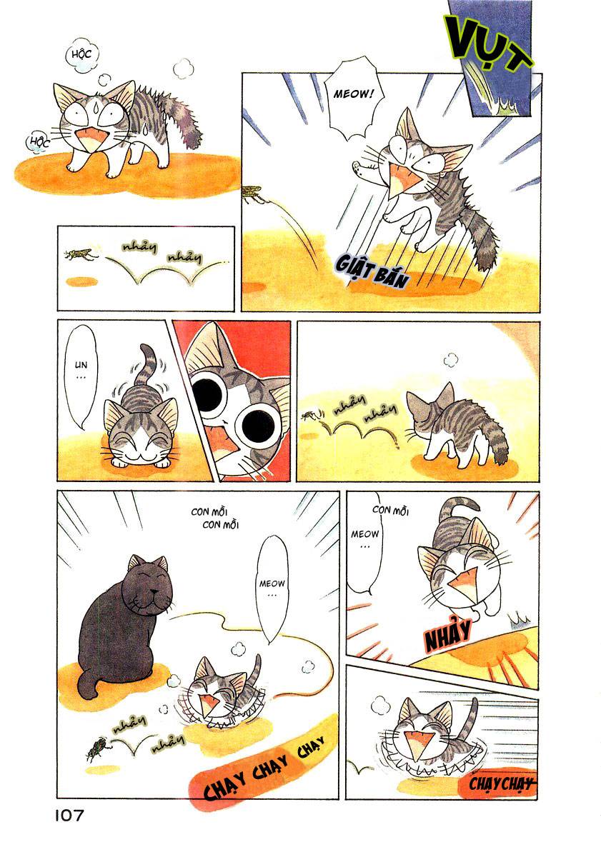 Truyện Tranh Mái Ấm Của Chi - Chii’s Sweet Home trang 3