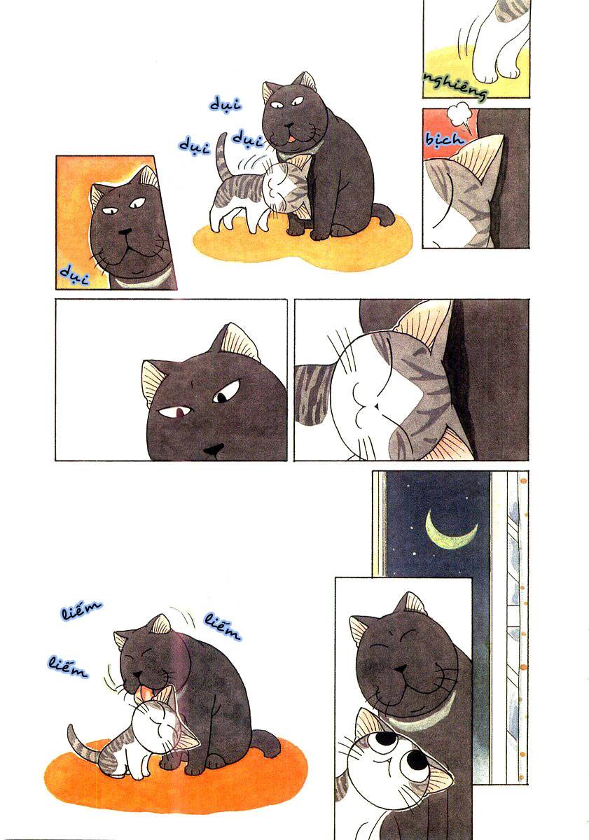 Truyện Tranh Mái Ấm Của Chi - Chii’s Sweet Home trang 3